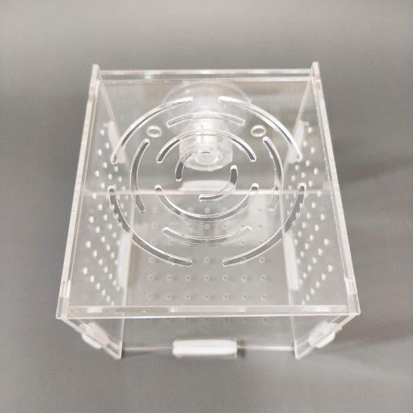 Box nuôi/dưỡng tép, cá chất liệu mica