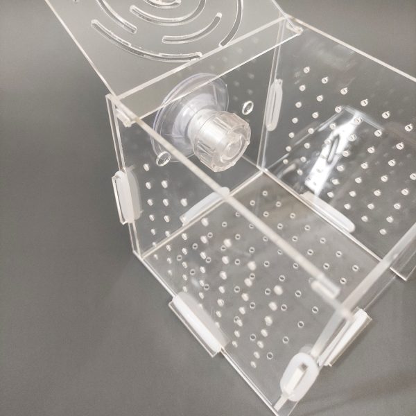 Box nuôi/dưỡng tép, cá chất liệu mica - Hình ảnh 4