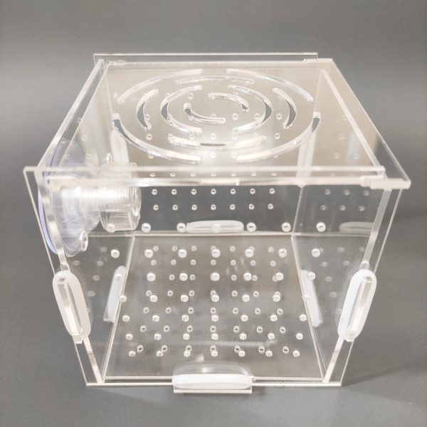 Box nuôi/dưỡng tép, cá chất liệu mica - Hình ảnh 5