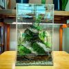 Tank kiến/Hộp nuôi côn trùng mica B1 15x15x25cm