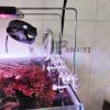 Chân đèn đa năng inox 304 và mica - Hình ảnh 2