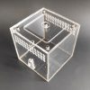 Out world tank kiến mica O1 8x8x8cm