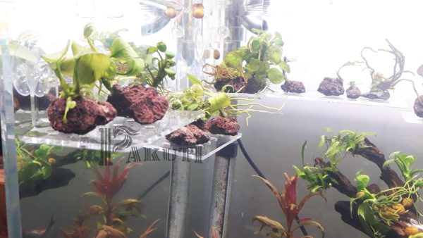 Treo giá thể hít kính mica hồ thủy sinh - Hình ảnh 4