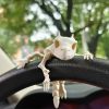 Mô hình xương con rồng 3D thủy sinh, tank kiến - Hình ảnh 2