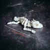 Mô hình xương con rồng 3D thủy sinh, tank kiến - Hình ảnh 4