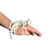 Mô hình xương con rồng 3D thủy sinh, tank kiến - Hình ảnh 6
