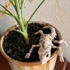 Mô hình xương con rồng 3D thủy sinh, tank kiến - Hình ảnh 8