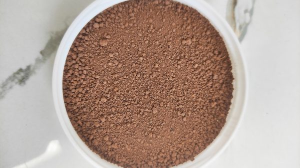 Đất kéo kén cho kiến 100gr - Hình ảnh 3