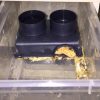 Hộp nuôi bò sát 17x10x7cm có tổ trú ẩn 2 máng ăn - Hình ảnh 8